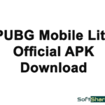 Download PUBG Lite for Windows PC
