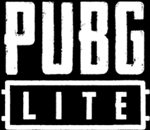 Download PUBG Lite for PC