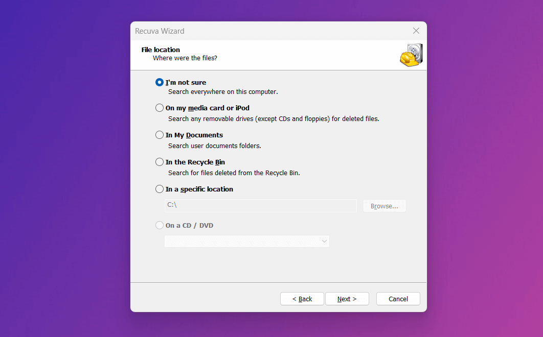 Process to recover deleted data